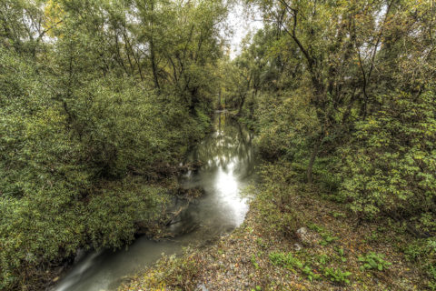 fiume riofreddo albano nicola foto nka.it