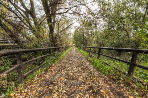 pontenza rio freddo foglie autunno nicola albano foto nka.it