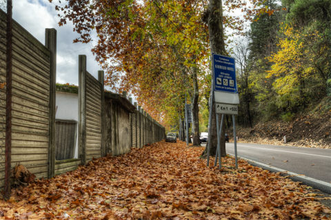 potenza foglie autunno albano nicola foto nka.it