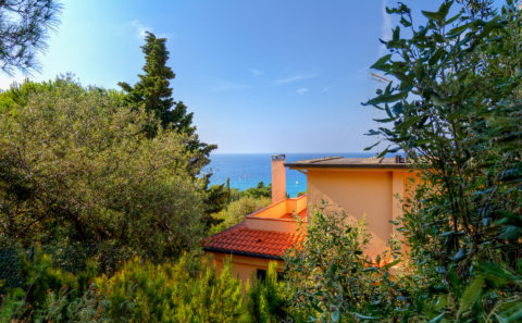 isola d'elba albano nicola foto nka.it
