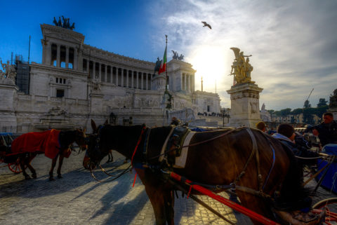 cavalli al vittoriano di roma albano nicola foto