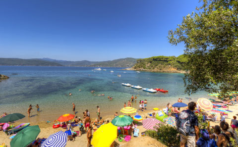 spiaggia zuccale isola elba albano nicola foto nka.it