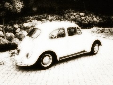 maggiolino albano nicola foto