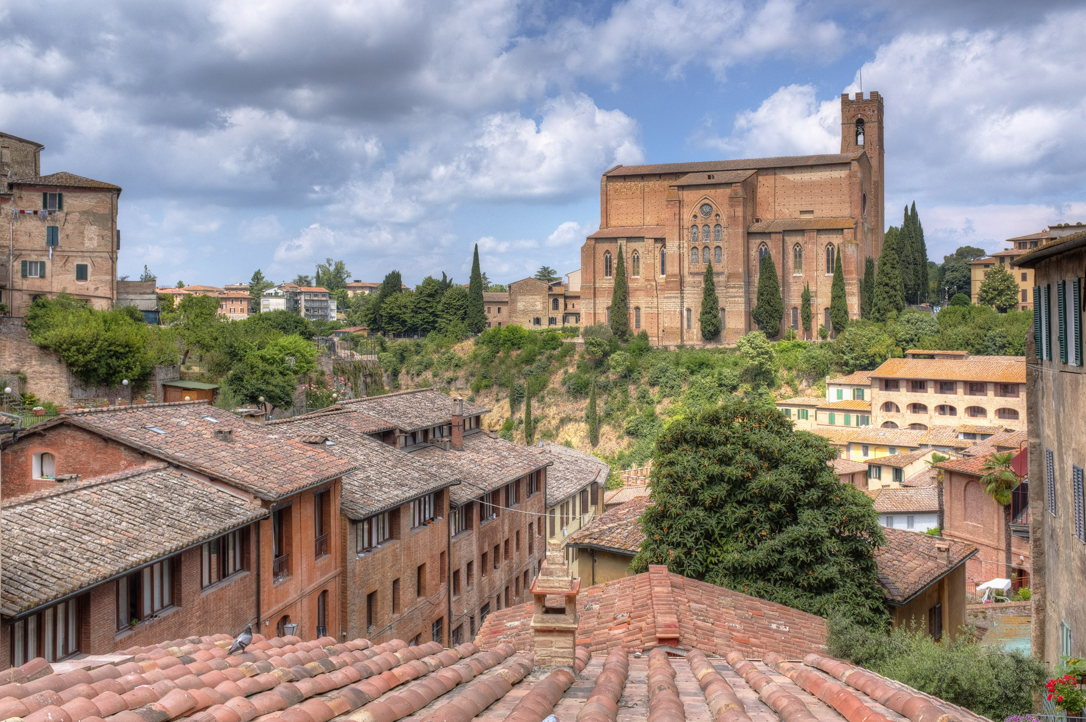 siena basilica di san domenico albano nicola foto - NKA Photo